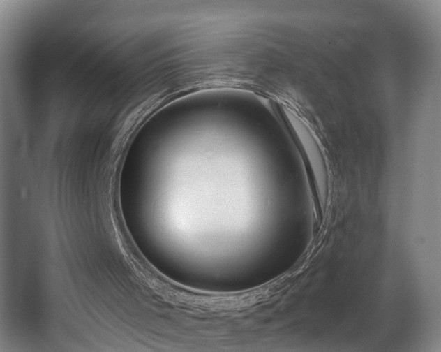 X0000068310001200604241415