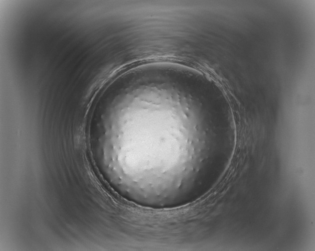 X0000068310002200604241415