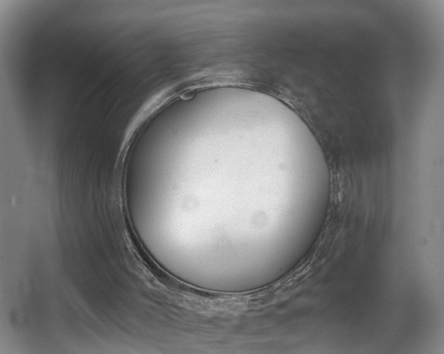 X0000068310004200604241415