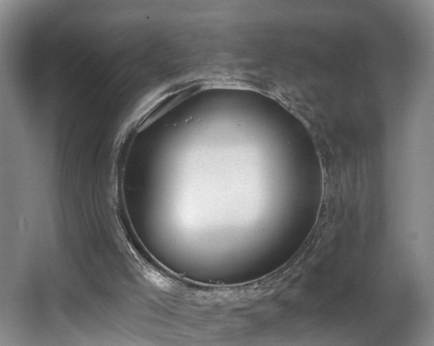 X0000068310005200604241415