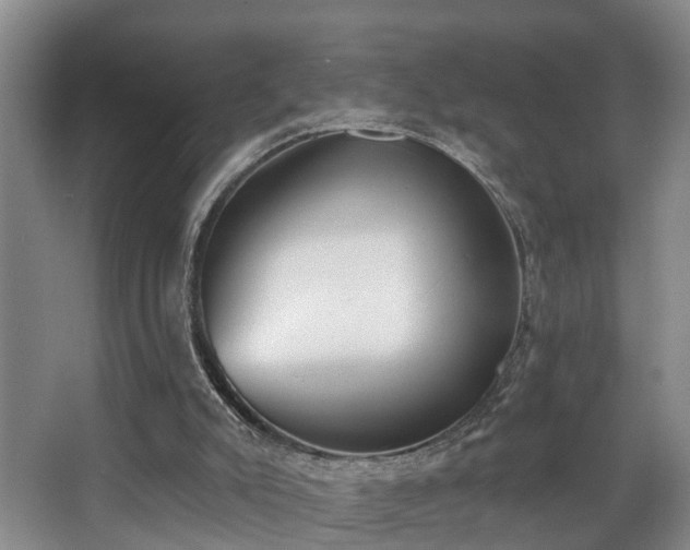 X0000068310007200604241415