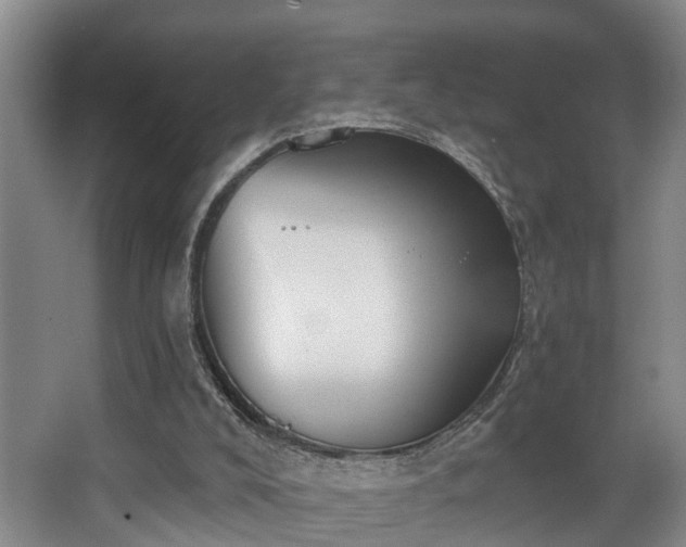 X0000068310008200604241415