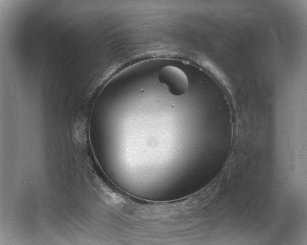 X0000068310009200604241415