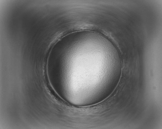 X0000068310010200604241415