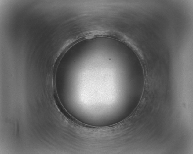 X0000068310011200604241415