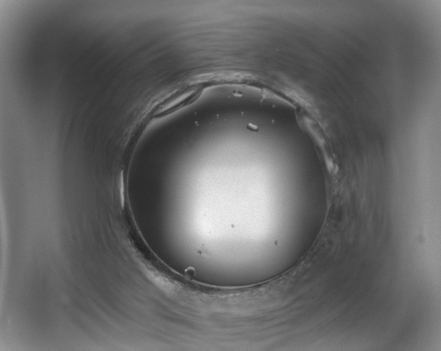 X0000068310013200604241415