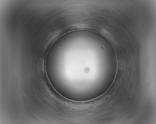 X0000068310014200604241415