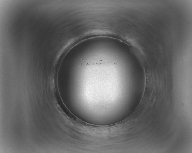 X0000068310015200604241415