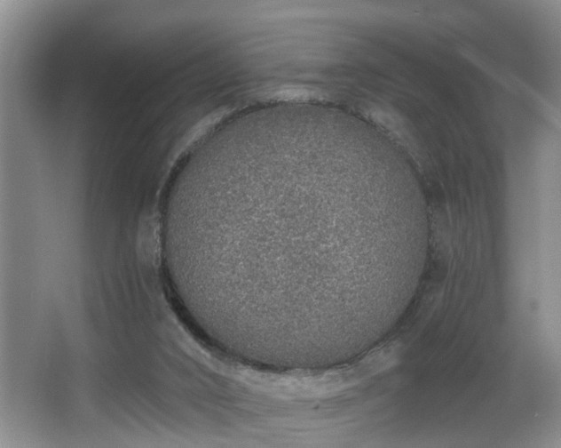 X0000068310016200604241415