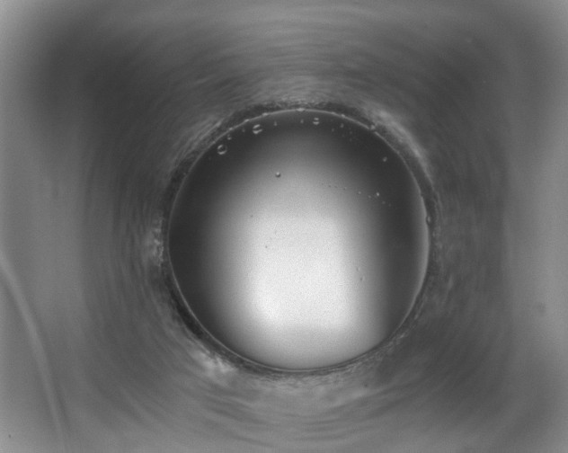 X0000068310017200604241415