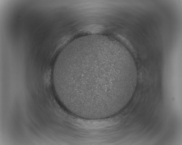 X0000068310018200604241415