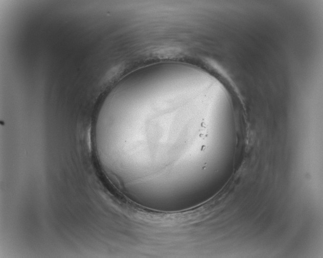 X0000068310019200604241415