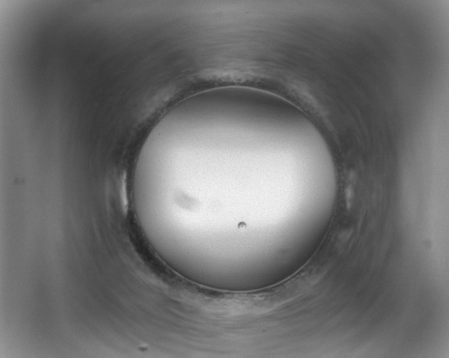 X0000068310020200604241415