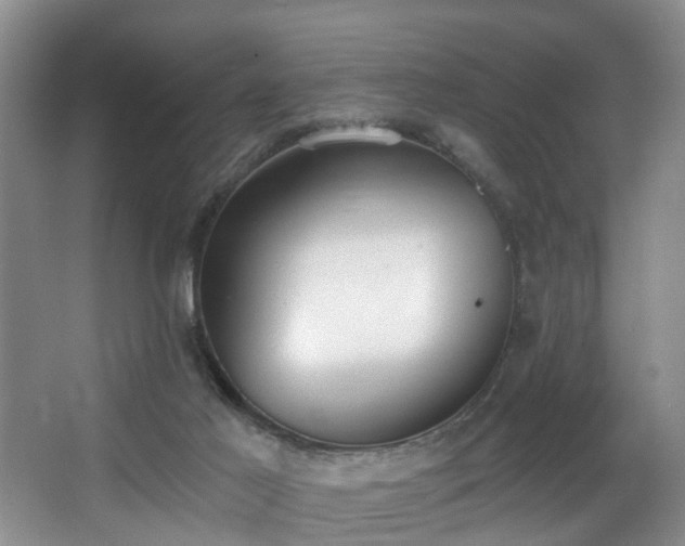 X0000068310021200604241415