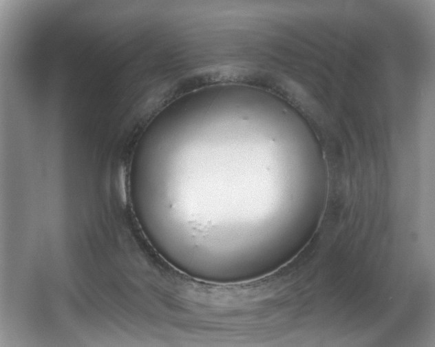 X0000068310022200604241415