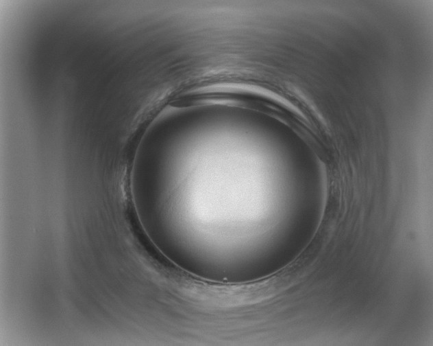 X0000068310023200604241415