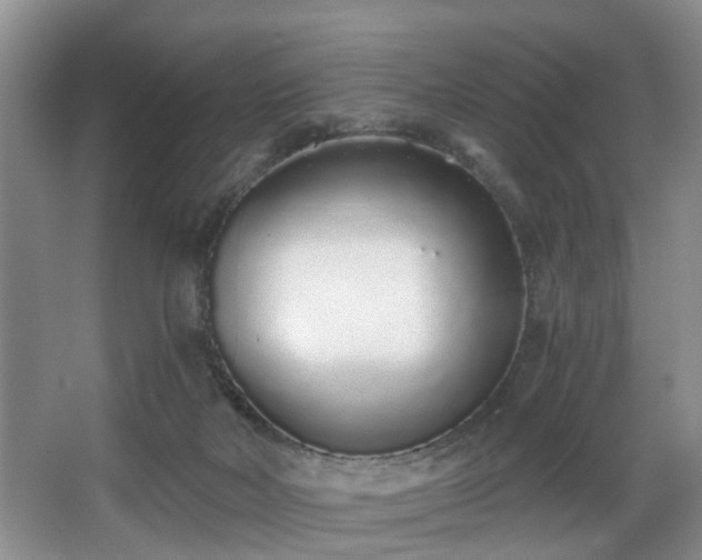 X0000068310026200604241415