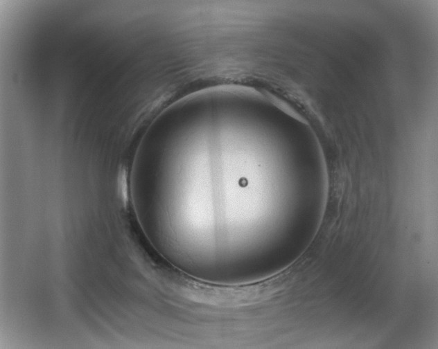 X0000068310027200604241415