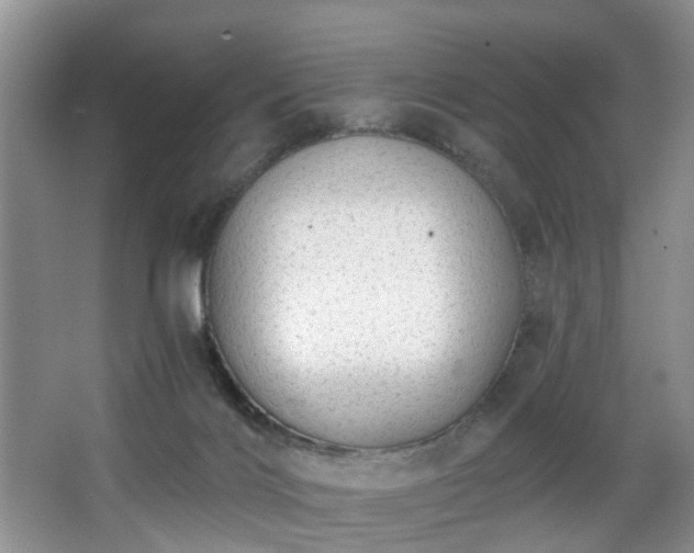 X0000068310028200604241415