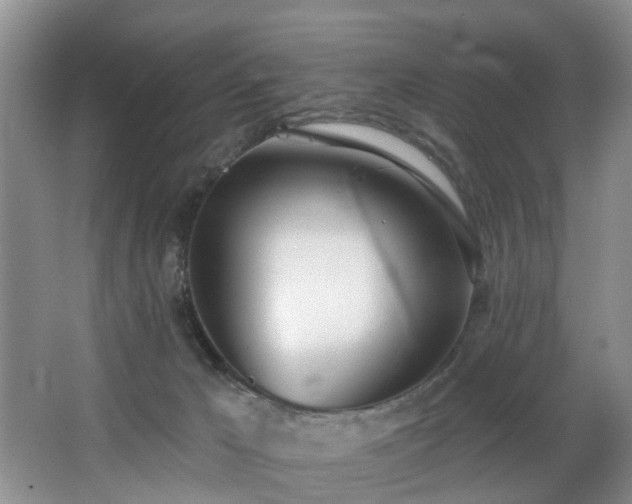 X0000068310029200604241415