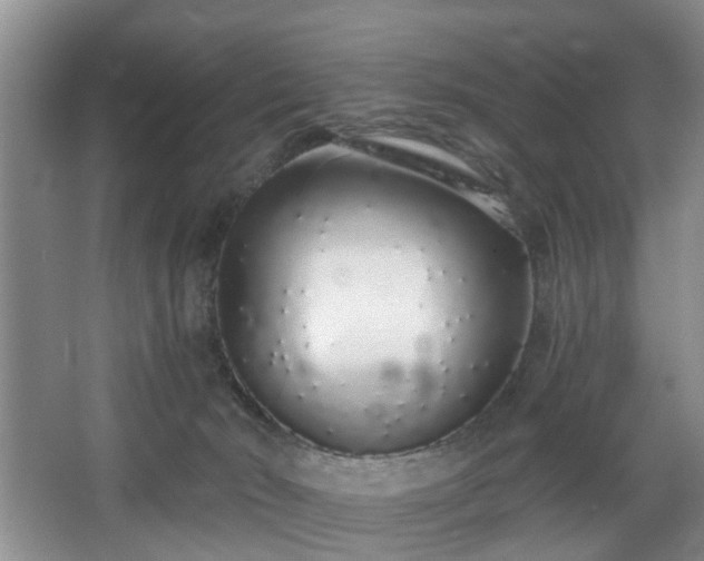 X0000068310030200604241415