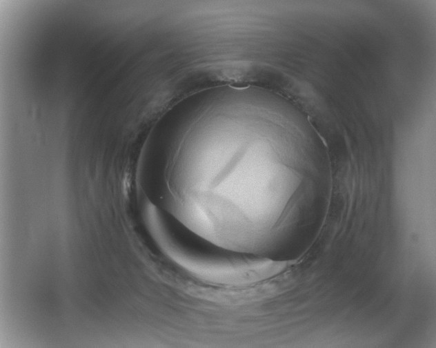 X0000068310031200604241415