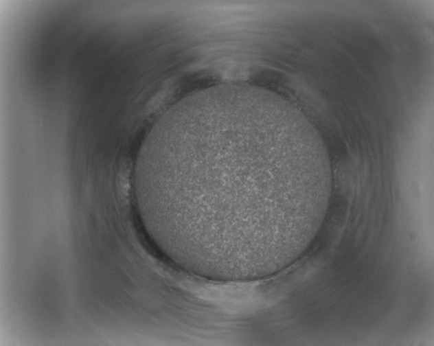 X0000068310032200604241415