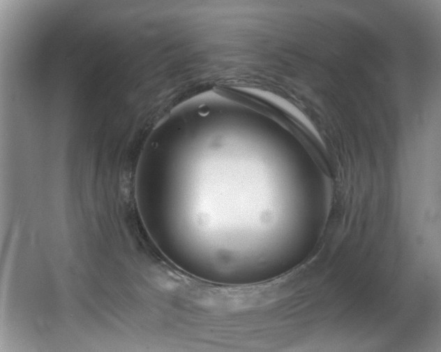 X0000068310033200604241415