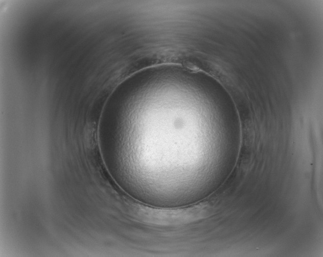 X0000068310034200604241415