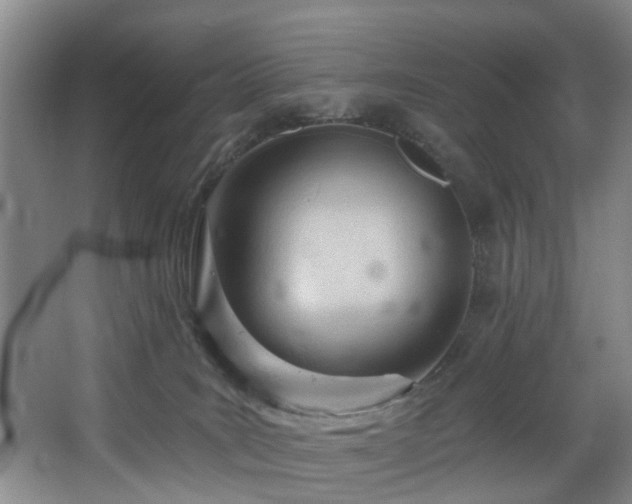 X0000068310035200604241415