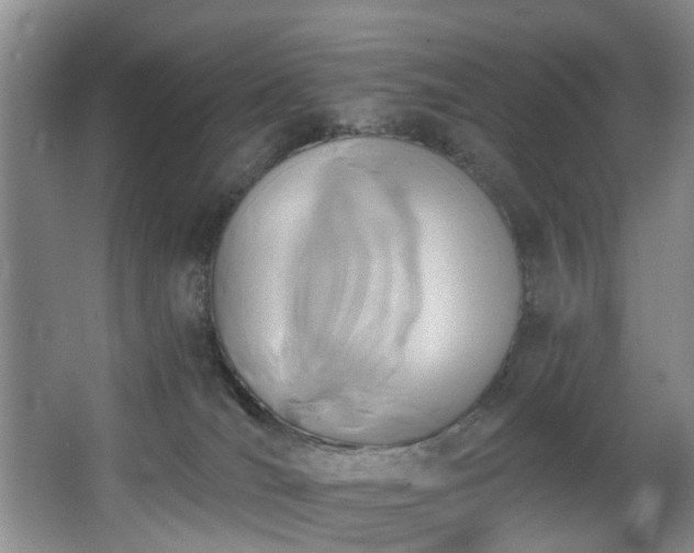 X0000068310036200604241414