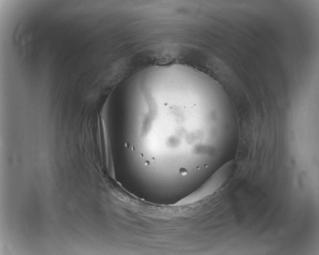 X0000068310037200604241414