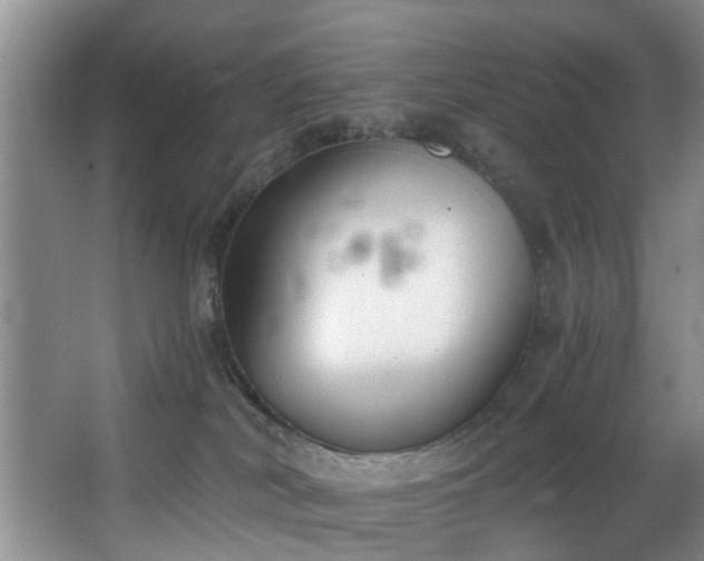 X0000068310038200604241414