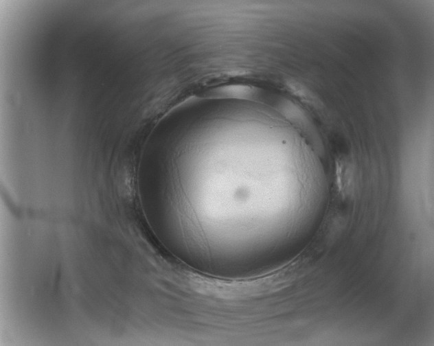 X0000068310039200604241414