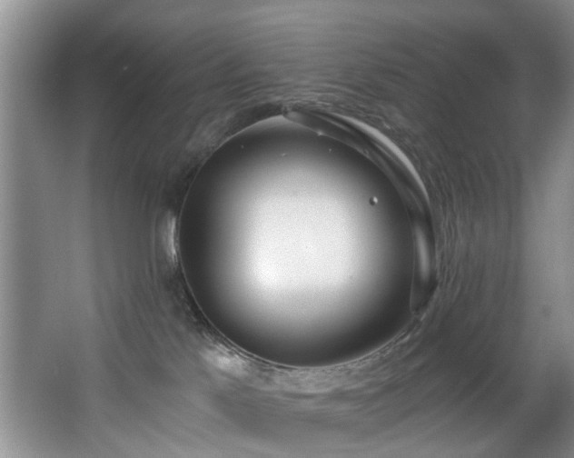 X0000068310041200604241414