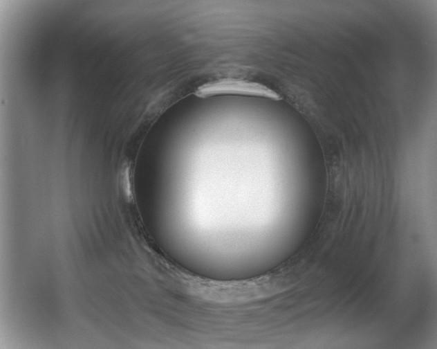 X0000068310042200604241414