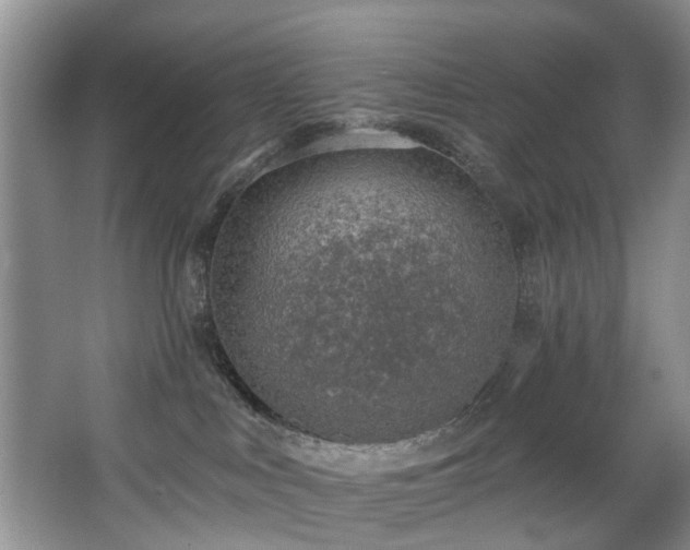 X0000068310043200604241414