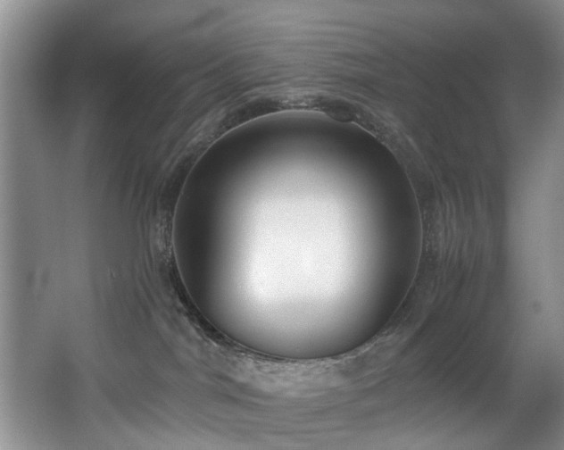 X0000068310044200604241414