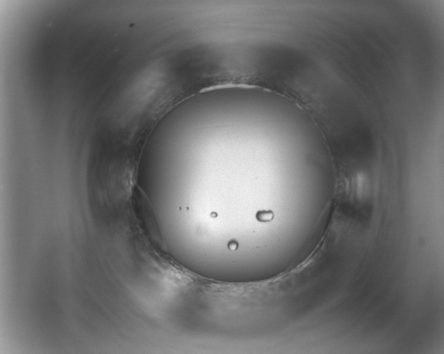 X0000068310045200604241414