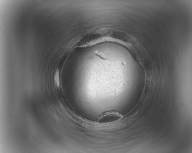 X0000068310046200604241414