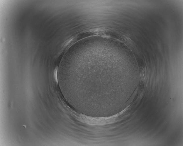 X0000068310047200604241414