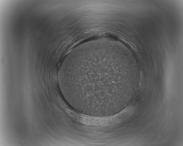 X0000068310048200604241414