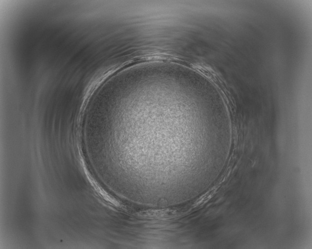 X0000068310049200604241413