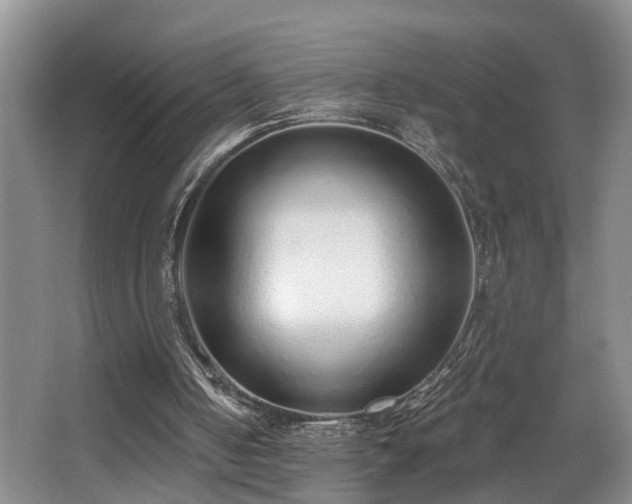 X0000068310050200604241413