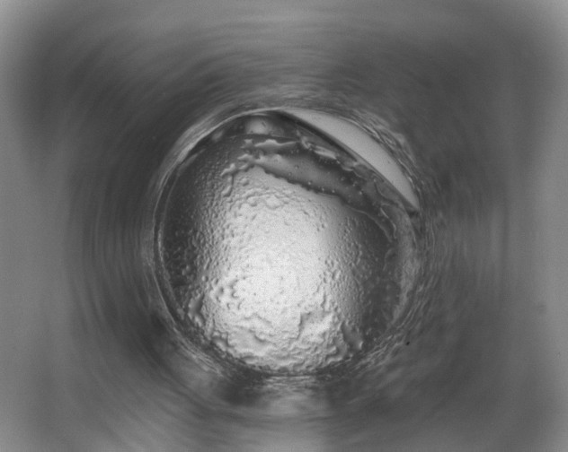 X0000068310051200604241413