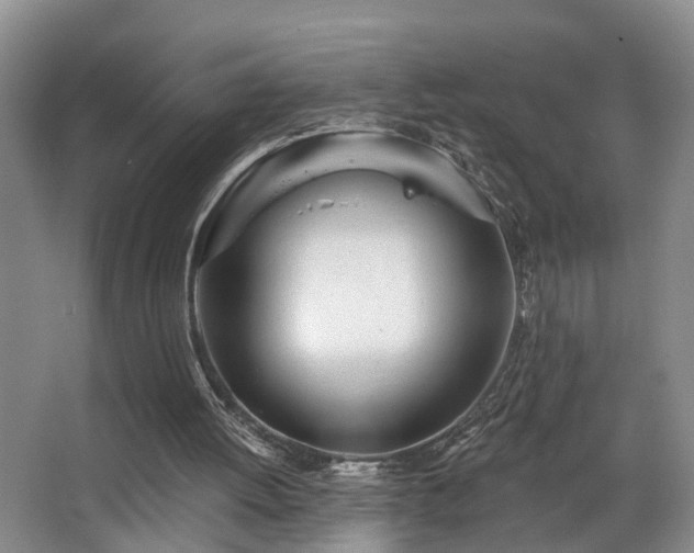 X0000068310052200604241414