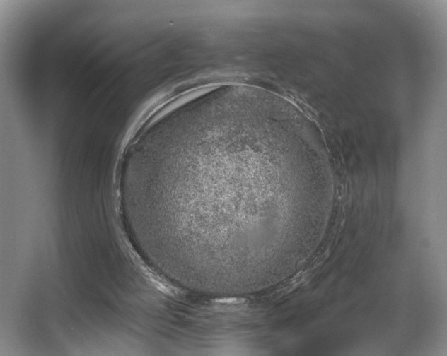 X0000068310053200604241414