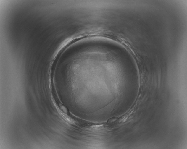 X0000068310054200604241414