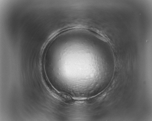 X0000068310055200604241414