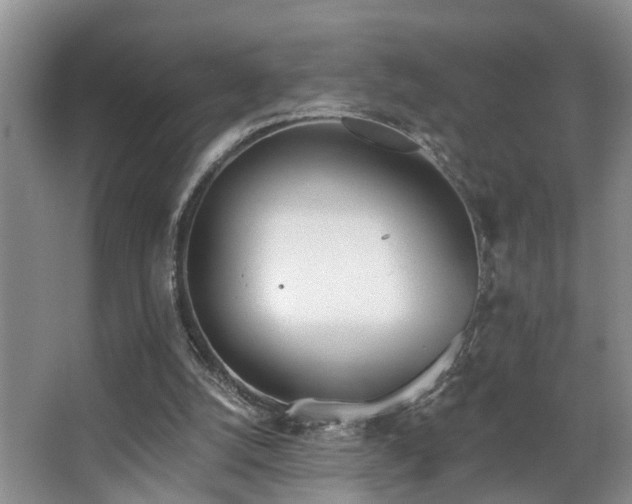 X0000068310056200604241414